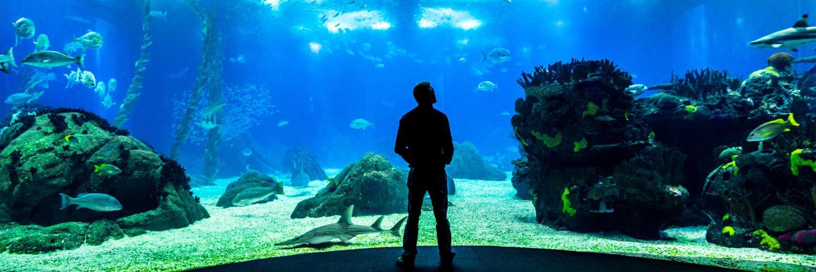 Oceanário de Lisboa